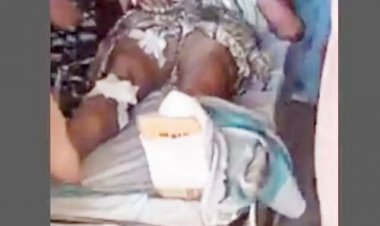 निर्वाचन आयोग के नियमों का उल्लंघन, शस्त्र लाइसेंस निरस्त