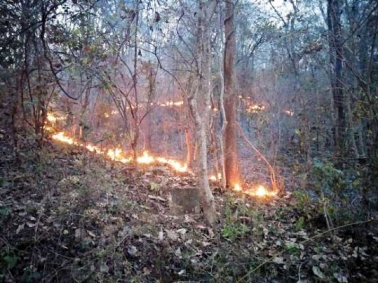 आग बुझाने की बड़ी चुनौती