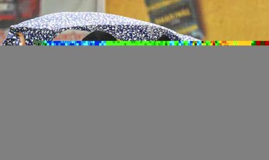 युकी भांबरी लियोन में युगल वर्ग में उपविजेता रहे