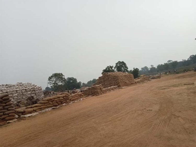 धान खरीदी फर्जीवाड़े में शामिल 10 किसान सहित 14 लोगों के खिलाफ केस दर्ज, छह महीने बाद भी एक भी गिरफ्तारी