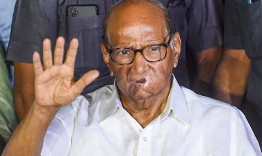 मेरा प्रयास महाराष्ट्र की कमान संभालने का, राकांपा (एसपी) को विधानसभा चुनाव जीतना होगा: पवार