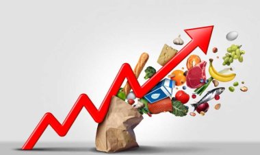 मुद्रास्फीति के चालू वित्त वर्ष में औसतन 4.5 प्रतिशत रहने की उम्मीद: क्रिसिल