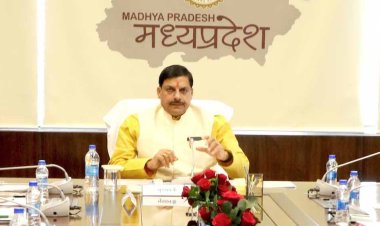 प्रधानमंत्री उत्कृष्टता महाविद्यालयों में रोजगारोन्मुखी पाठ्यक्रम शैक्षणिक सत्र 2024-25 से होंगे शुरू