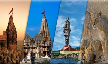 समर वेकेशन में गुजरात को खूब मिले देशी-विदेश टूरिस्ट, पहुंचे 1.35 करोड़ से ज्यादा पर्यटक