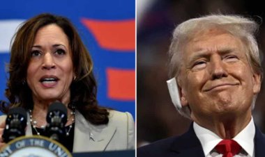 ट्रंप अमेरिका को पीछे ले जाना चाहते हैं : कमला हैरिस