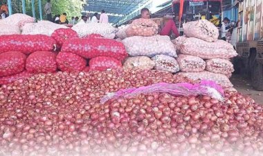 देवी अहिल्या बाई होलकर थोक मंडी में प्याज में तेजी देखने को मिली, कुछ दिनों में दाम हो सकता है दोगुना