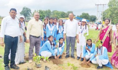 क्षेत्र को हराभरा, तरोताजा रखना है तो पेड़ लगाना जरूरी-अजय