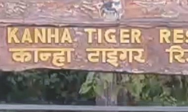 कान्हा टाइगर रिजर्व में तितली सर्वेक्षण का सफल समापन:11 राज्यों के 74 वॉलिंटियर्स ने 39 फॉरेस्ट कैंप में 4 दिनों तक किया सर्वेक्षण