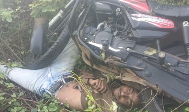 सड़क हादसे में युवक की मौत:बस में क्लीनर था, ग्राम तलवाड़ा बुजुर्ग में पुलिया के नीचे मिला शव