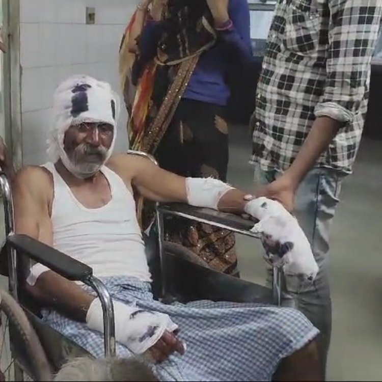 भालू ने ग्रामीण पर किया हमला, जिला अस्पताल में भर्ती:नेशनल पार्क से सटे गांगुली गांव की घटना; 16 दिन पहले तेंदुए ने बोला था धावा