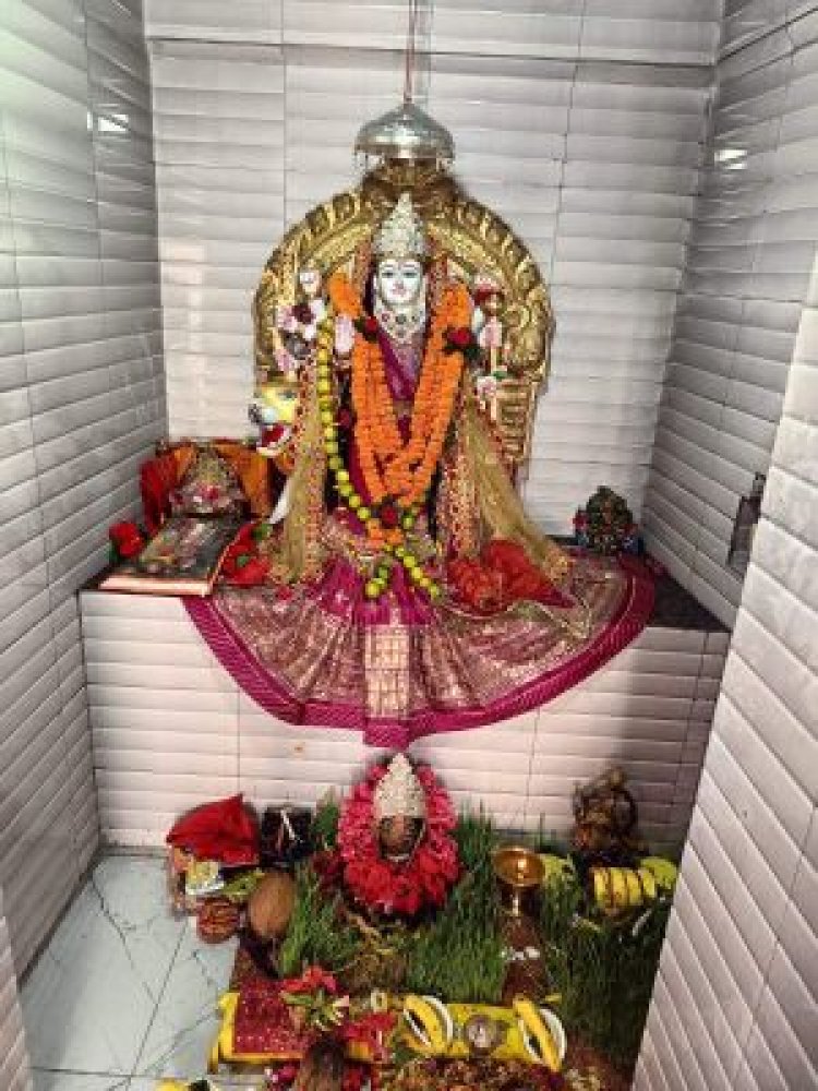 गोपालजी मंदिर छोटे मठ में कन्या भोज, भंडारा