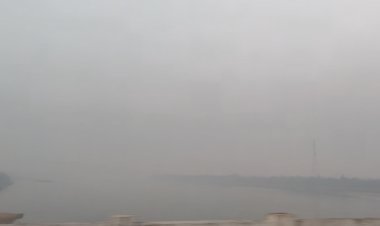 नर्मदाचंल में बढ़ी ठंड, छा रहा कोहरा:पचमढ़ी में सीजन में पहली बार 8.8 डिग्री पर आया टेम्परेचर, दिन में भी ठंडा हुआ मौसम