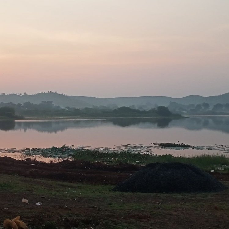 मौसम ने फिर बदली करवट रात में बढ़ने लगी सर्दी:दिन में गर्मी से नहीं मिल रही राहत; रबी बुआई की तैयारी में जुटे किसान