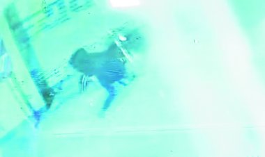 सोने-चांदी के गहने नहीं मिले तो बेनटेक्स सामान ले गया चोर