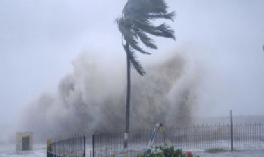 CG Weather News: प्रदेश में शीतलहर से मिलेगी राहत, अगले कुछ दिनों तक तापमान में बदलाव के आसार नहीं, बलरामपुर रहा सबसे ठंडा..