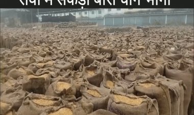 रीवा में मावठे की बारिश, ठंड बढ़ने के आसार:सैकड़ों बोरी धान भीगी, पहले से थी पानी गिरने की संभावना फिर भी नहीं की व्यवस्था
