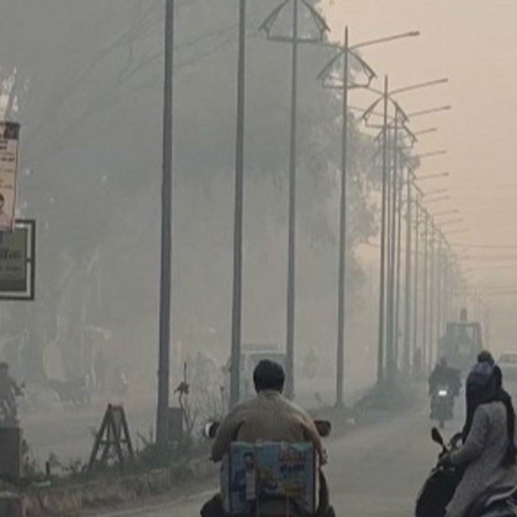 रायसेन में शीत लहर चलने से बढ़ी ठिठुरन:सीजन में दूसरी बार रात का न्यूनतम तापमान 3.8 डिग्री दर्ज, पौधों पर जमी ओस की बूंदें