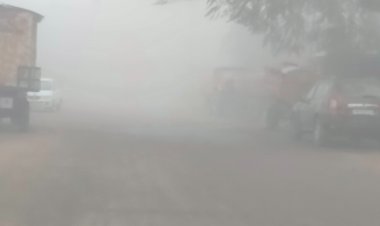 भिंड में घना कोहरा:देर से खुल रहे बाजार; 6 डिग्री पर पहुंचा न्यूनतम तापमान, ठिठुरन बढ़ी