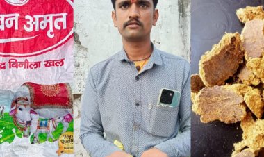 खालवा में पशुपालकों को बेचा नकली पशु आहार:सस्ते दाम का लालच देकर की ठगी; पशुओं ने सूंघकर नहीं खाना तो हुआ खुलासा