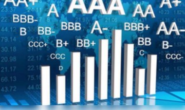 76वें गणतंत्र दिवस पर मुख्यमंत्री निवास कार्यालय में अपर मुख्य सचिव डॉ. राजौरा ने फहराया तिरंगा