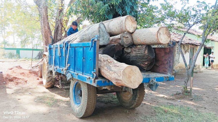 मिश्रित लकड़ी का अवैध परिवहन, जब्ती