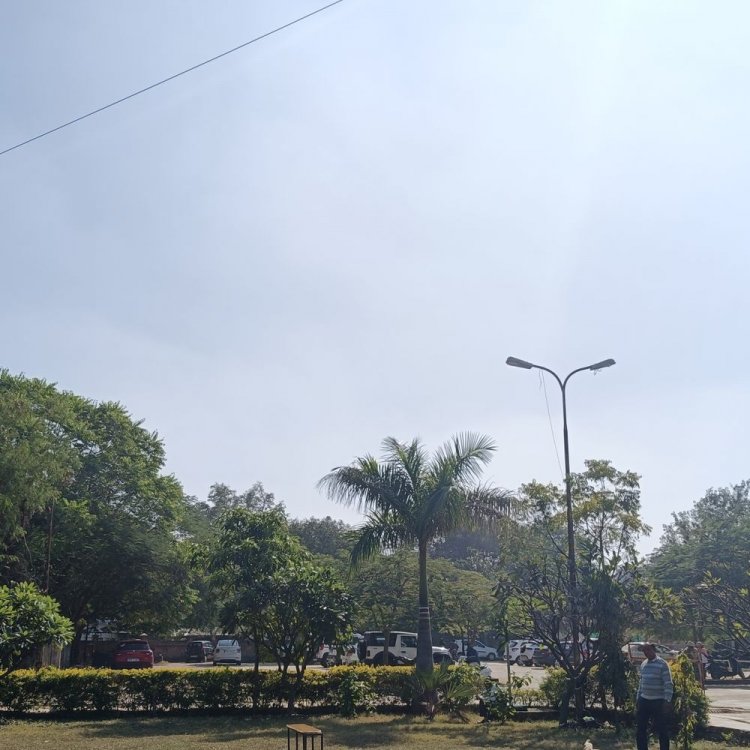 अशोकनगर में तेज ठंड का अलर्ट:न्यूनतम तापमान 8 डिग्री; बादल और कोहरे से घिरा जिला