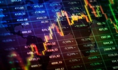 ग्वालियर की बारात में अंधाधुंध फायरिंग:VIDEO सामने आने के बाद शुरू की जांच, तीन युवक पुलिस के निशाने पर