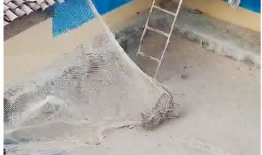 घर में घुसा तेंदुआ, पकडऩे की कोशिश नाकाम