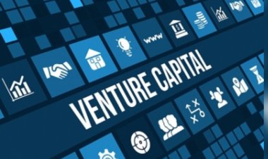 भारत में वेंचर कैपिटल फंडिंग 2024 में 43 प्रतिशत बढ़कर 13.7 अरब डॉलर रही