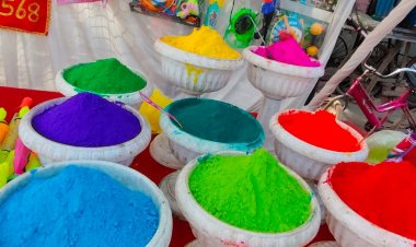 रायसेन में 500 जगह पर होगा होलिका दहन:पाटनदेव हनुमान मंदिर से निकलेगा जुलूस; भक्त राधा कृष्ण मंदिर में खेलेंगे फूलों की होली