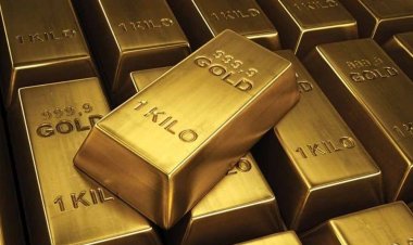 सोने के दाम MCX पर 88,488 रुपये प्रति 10 ग्राम के नए रेकॉर्ड पर पहुंचे
