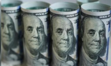 इंदौर के दिल्ली इंटरनेशनल स्कूल में बच्चों की मनमोहक प्रस्तुति:मोंटेसरी के स्टूडेंट्स का ग्रेजुएशन, म्यूजिक और डांस के साथ मनाया गया जश्न