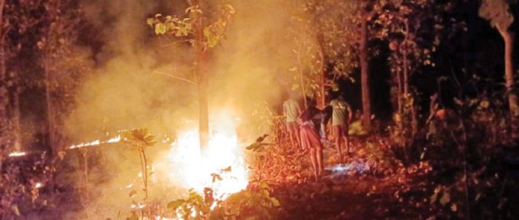 उदयपुर वन परिक्षेत्र में भीषण आग, खतरे में ऐतिहासिक रामगढ़ पहाड़ी