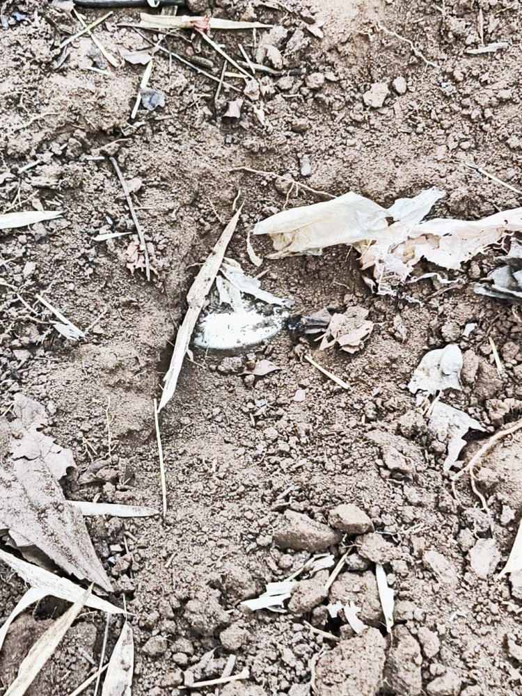 3 किलो का बम बरामद, किया निष्क्रिय