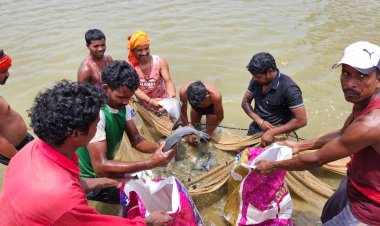 शासकीय योजना से मिली रोजगार की राह, दिनेश सिंह ने मत्स्य पालन से बनाई अपनी पहचान, अन्य लोगों को दे रहे हैं रोजगार