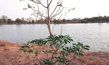 पानी छोडऩे के बाद निस्तारी तालाब लबालब