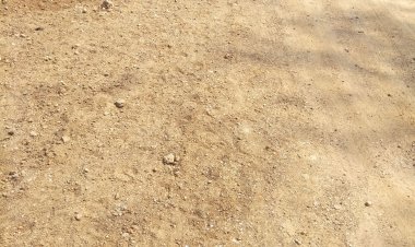 मरम्मत के अभाव में डाली मिट्टी