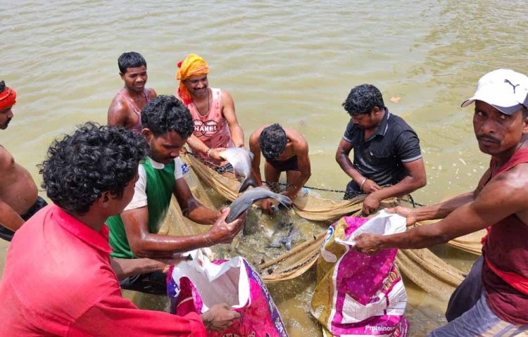 शासकीय योजना से मिली रोजगार की राह, दिनेश सिंह ने मत्स्य पालन से बनाई अपनी पहचान, अन्य लोगों को दे रहे हैं रोजगार