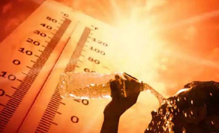 हीटवेव के लिए हो जाएं तैयार, UP-बिहार से हरियाणा-पंजाब तक 5 डिग्री तक बढ़ेगा पारा, मौसम विभाग ने चेताया