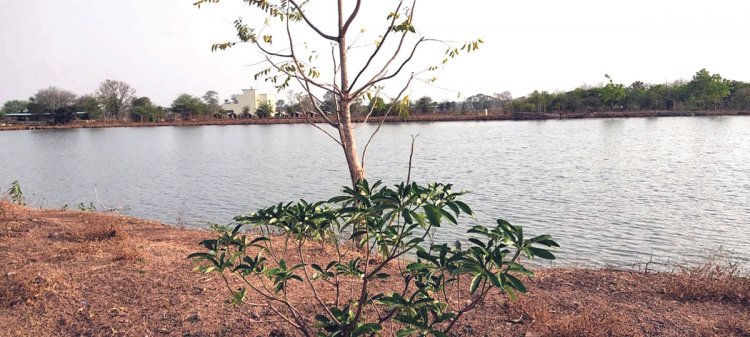 पानी छोडऩे के बाद निस्तारी तालाब लबालब