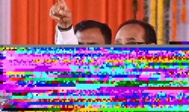 बांधवगढ़ टाइगर रिजर्व में 150 हेक्टेयर जंगल पर अवैध कब्जा:झोपड़ियां बनाकर की जा रही खेती, 50 सदस्यीय टीम ने किया चिह्नित, जल्द हटाया जाएगा