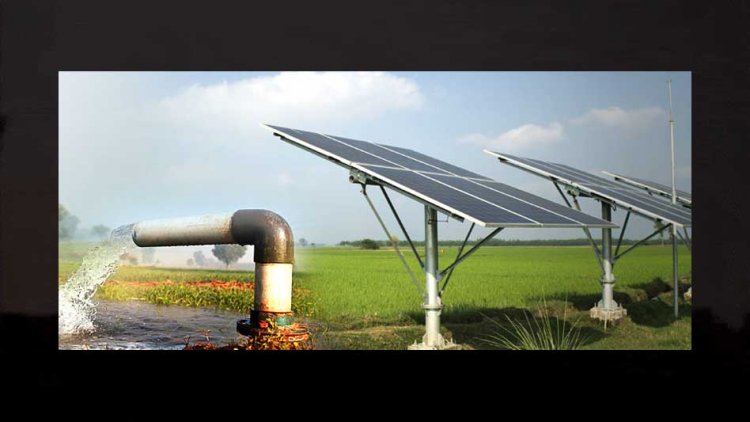 मुख्य सचिव की अध्यक्षता में सोलर पम्प स्थापना की योजना के लिए राज्य स्तरीय समन्वय समिति गठित