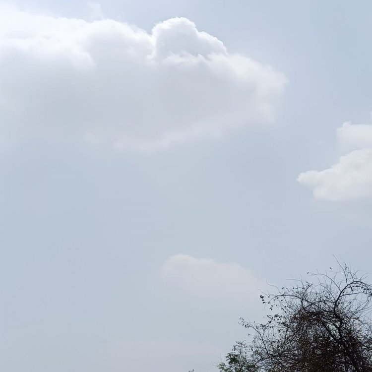 चंदेरी में 7 और मुंगावली में 2 मिमी बारिश दर्ज:अशोकनगर में उमस भरी गर्मी से लोग परेशान; तापमान में वृद्धि का अनुमान