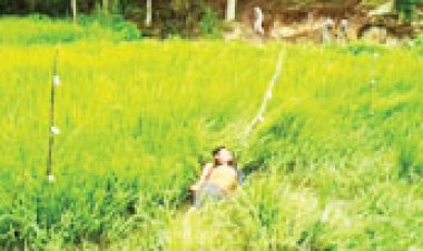 करंट की चपेट में दो युवकों की मौत, जांच