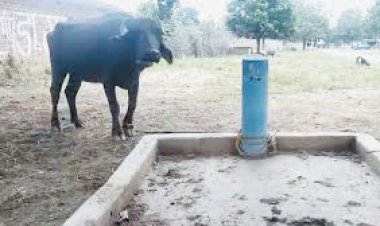 बलौदाबाजार: पाइपलाइन बिछी तो टंकी नहीं, टंकी बन गई तो वहां पानी ही नहीं