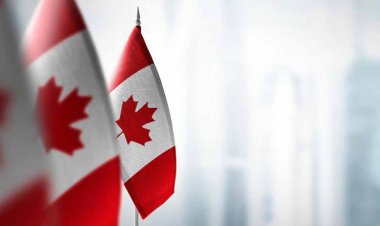 बड़ी संख्या में पंजाबी कनाडा में बसे हुए हैं, अब मौजूदा समय में कनाडा में बैठे पंजाबी व्यापारी मुश्किलों का सामना कर रहे