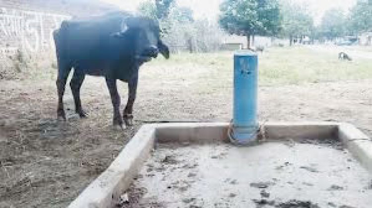 बलौदाबाजार: पाइपलाइन बिछी तो टंकी नहीं, टंकी बन गई तो वहां पानी ही नहीं
