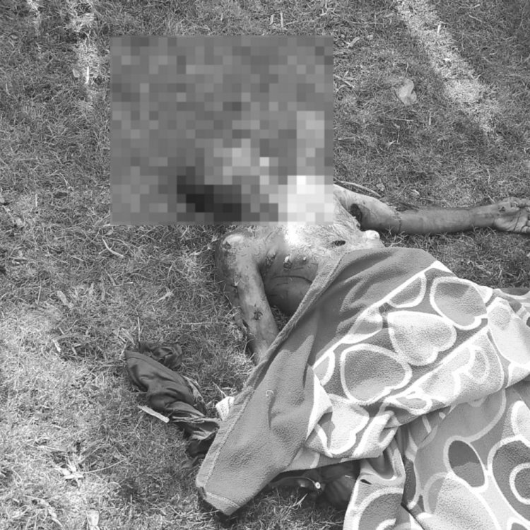 सतना में जंगली सुअर के हमले से एक की मौत:तीन गंभीर घायल, इलाज जारी; नदी किनारे भेड़-बकरियां चराते समय हुई घटना