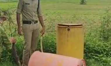 सीएम के कार्यक्रम के पहले अवैध शराब पर कार्रवाई:छतरपुर में 46 लीटर हाथभट्टी मदिरा जब्त; 4500 किलो महुआ लाहन भी नष्ट किया