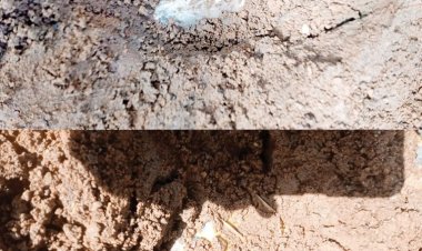 टिफिन बम-बीजीएल सेल बरामद, किया नष्ट